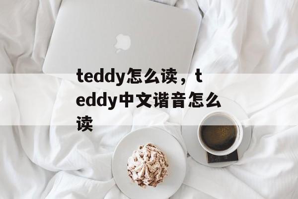 teddy怎么读，teddy中文谐音怎么读-第1张图片-