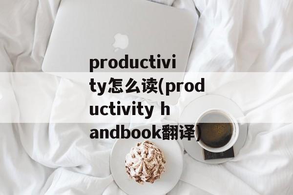 productivity怎么读(productivity handbook翻译)-第1张图片-
