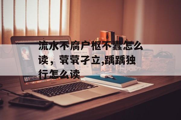流水不腐户枢不蠹怎么读，茕茕孑立,踽踽独行怎么读-第1张图片-