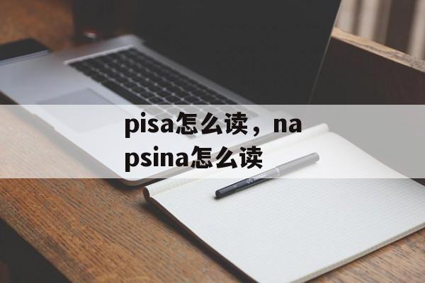 pisa怎么读，napsina怎么读-第1张图片-