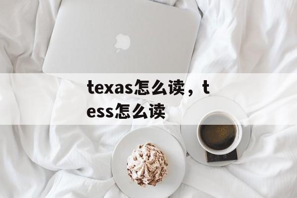 texas怎么读，tess怎么读-第1张图片-