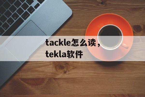 tackle怎么读，tekla软件-第1张图片-