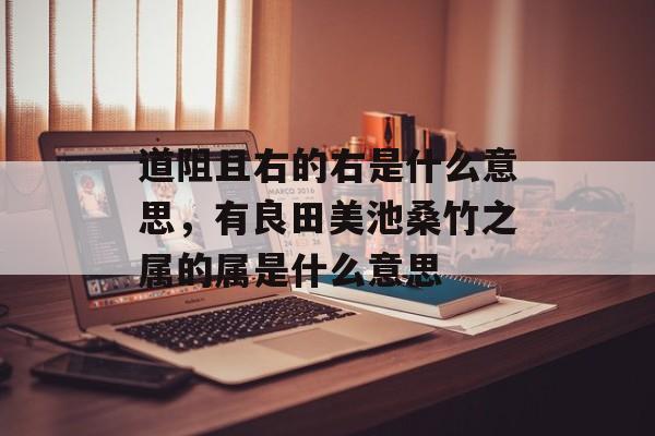 道阻且右的右是什么意思，有良田美池桑竹之属的属是什么意思-第1张图片-