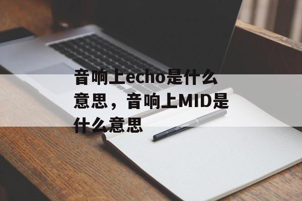 音响上echo是什么意思，音响上MID是什么意思-第1张图片-