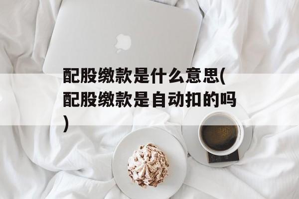 配股缴款是什么意思(配股缴款是自动扣的吗)-第1张图片-