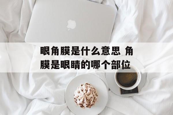眼角膜是什么意思 角膜是眼睛的哪个部位-第1张图片-