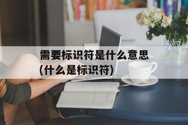 需要标识符是什么意思(什么是标识符)-第1张图片-