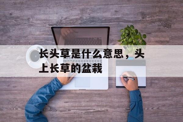 长头草是什么意思，头上长草的盆栽-第1张图片-