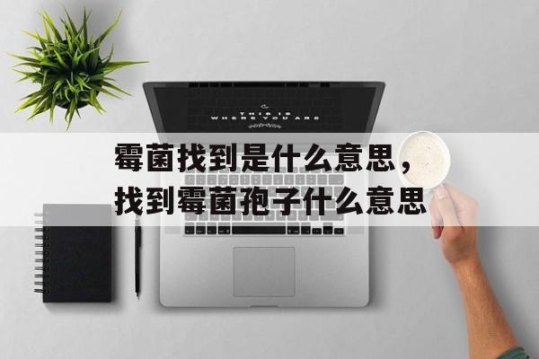 霉菌找到是什么意思，找到霉菌孢子什么意思-第1张图片-