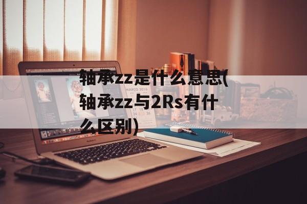 轴承zz是什么意思(轴承zz与2Rs有什么区别)-第1张图片-