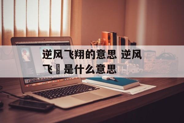 逆风飞翔的意思 逆风飞飏是什么意思-第1张图片-
