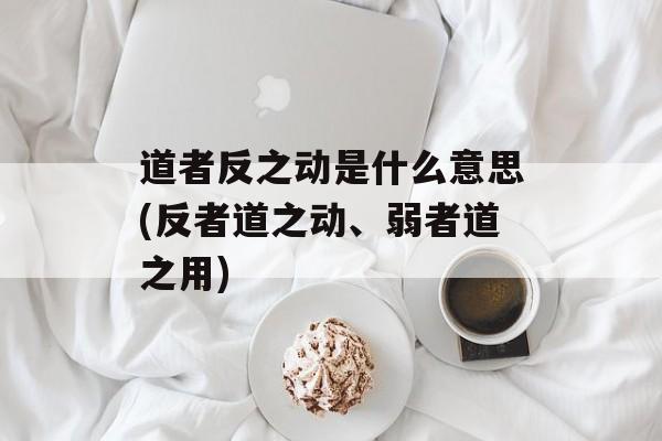 道者反之动是什么意思(反者道之动、弱者道之用)-第1张图片-