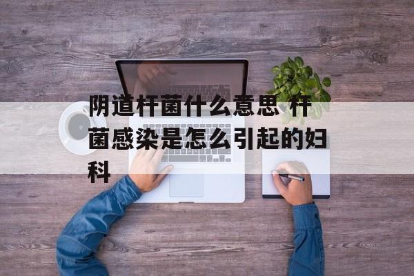 阴道杆菌什么意思 杆菌感染是怎么引起的妇科-第1张图片-