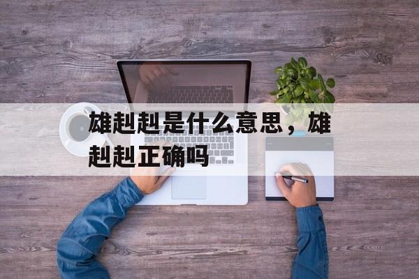 雄赳赳是什么意思，雄赳赳正确吗-第1张图片-