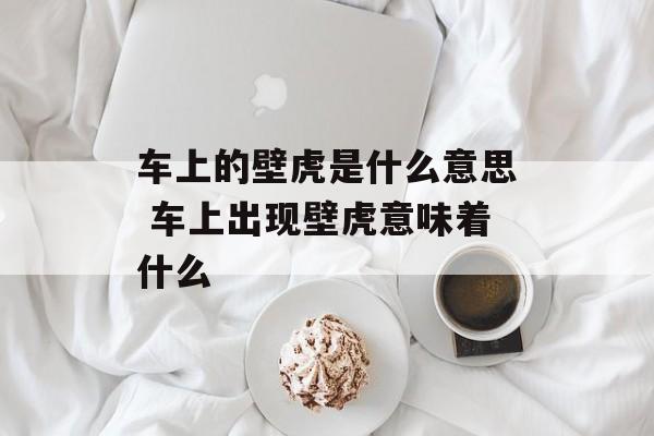 车上的壁虎是什么意思 车上出现壁虎意味着什么-第1张图片-