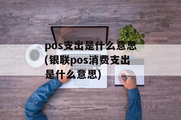 pos支出是什么意思(银联pos消费支出是什么意思)-第1张图片-