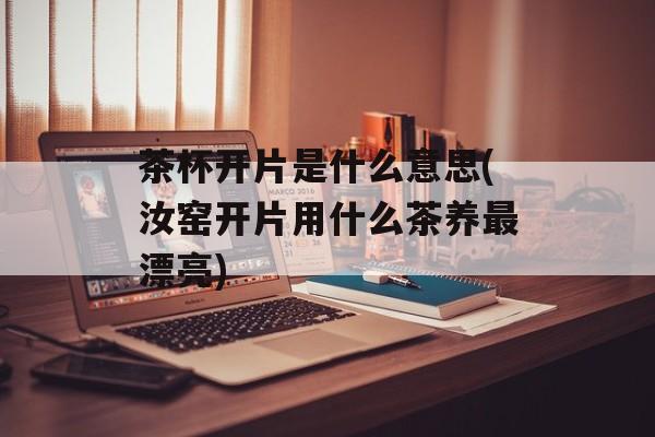 茶杯开片是什么意思(汝窑开片用什么茶养最漂亮)-第1张图片-