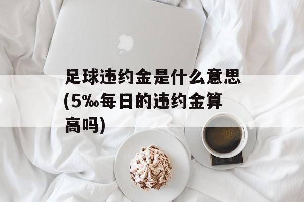 足球违约金是什么意思(5‰每日的违约金算高吗)-第1张图片-