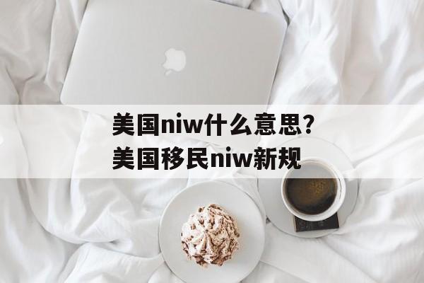 美国niw什么意思？美国移民niw新规-第1张图片-