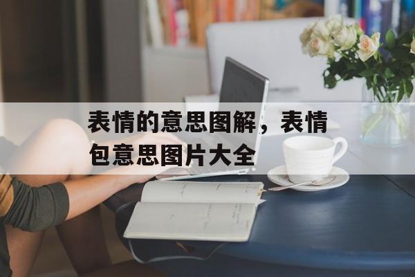 表情的意思图解，表情包意思图片大全-第1张图片-