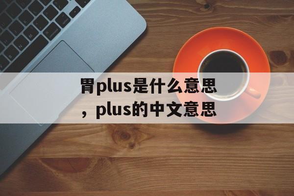 胃plus是什么意思，plus的中文意思-第1张图片-