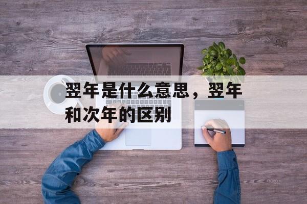 翌年是什么意思，翌年和次年的区别-第1张图片-
