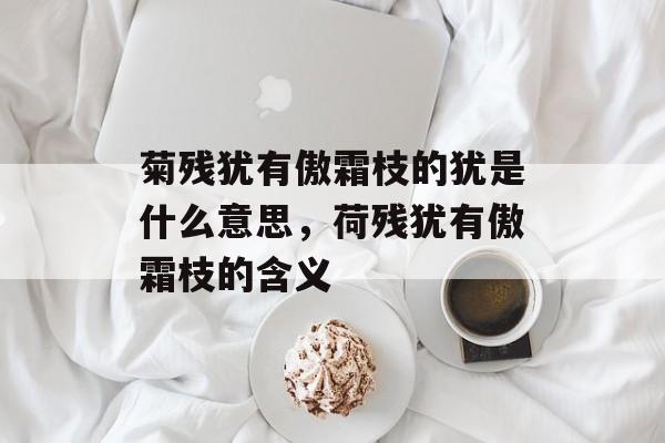 菊残犹有傲霜枝的犹是什么意思，荷残犹有傲霜枝的含义-第1张图片-
