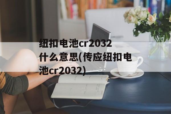 纽扣电池cr2032什么意思(传应纽扣电池cr2032)-第1张图片-