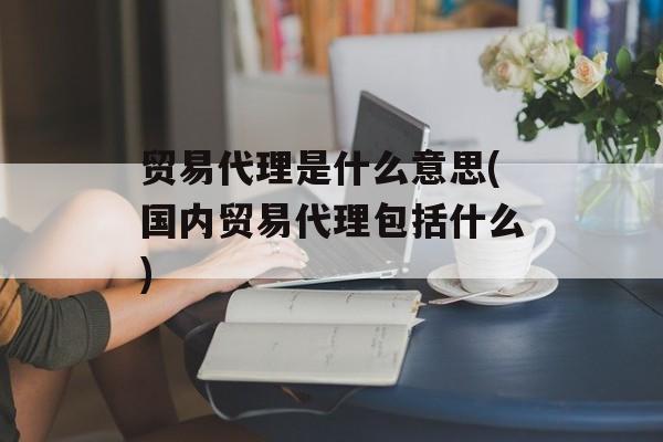 贸易代理是什么意思(国内贸易代理包括什么)-第1张图片-