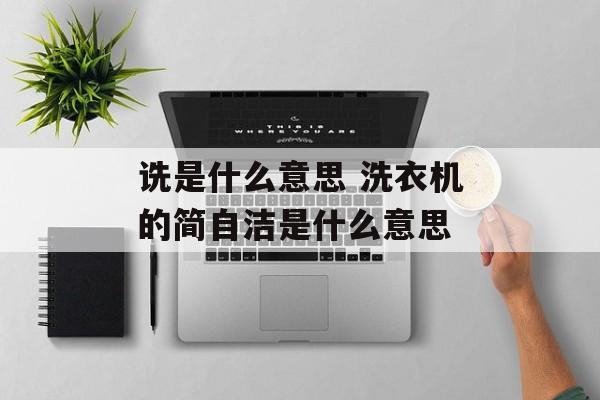 诜是什么意思 洗衣机的简自洁是什么意思-第1张图片-