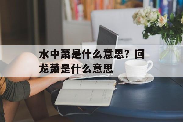 水中萧是什么意思？回龙萧是什么意思-第1张图片-