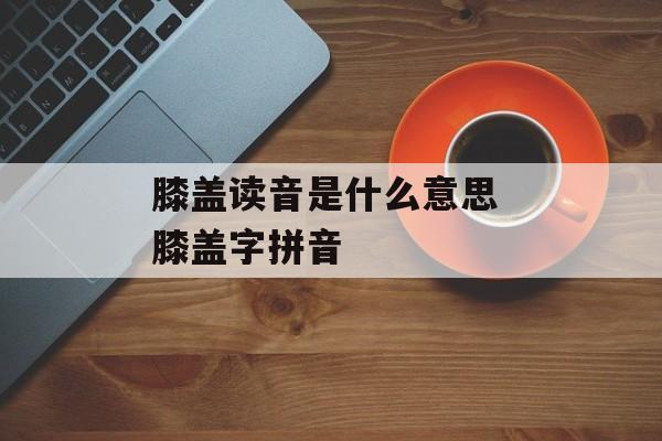 膝盖读音是什么意思 膝盖字拼音-第1张图片-