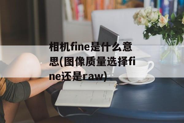 相机fine是什么意思(图像质量选择fine还是raw)-第1张图片-