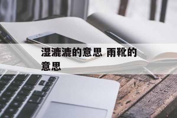 湿漉漉的意思 雨靴的意思-第1张图片-