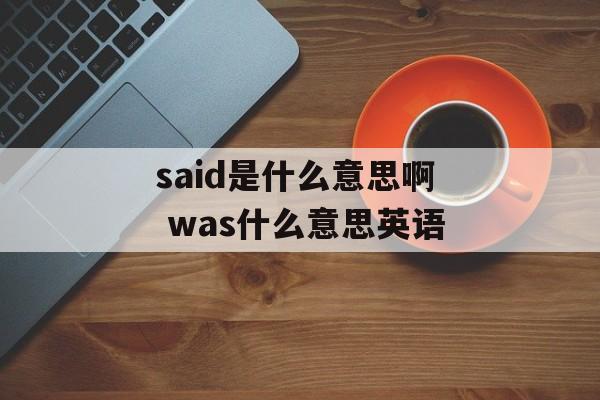 said是什么意思啊 was什么意思英语-第1张图片-