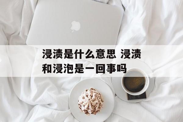 浸渍是什么意思 浸渍和浸泡是一回事吗-第1张图片-