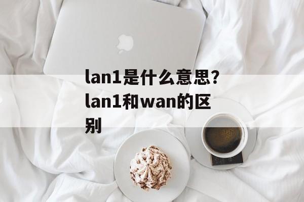 lan1是什么意思？lan1和wan的区别-第1张图片-