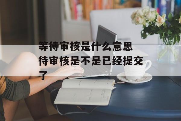 等待审核是什么意思 待审核是不是已经提交了-第1张图片-