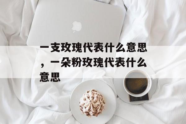一支玫瑰代表什么意思，一朵粉玫瑰代表什么意思-第1张图片-