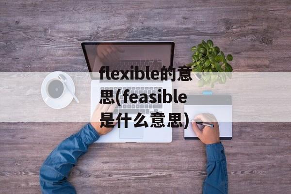 flexible的意思(feasible是什么意思)-第1张图片-