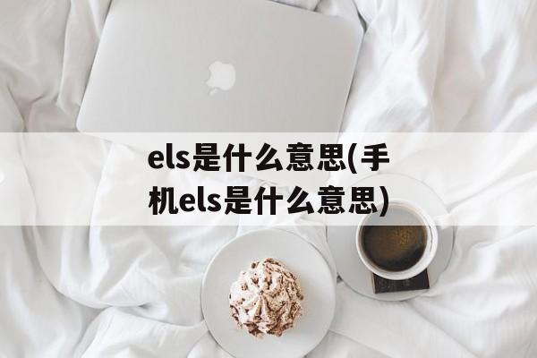 els是什么意思(手机els是什么意思)-第1张图片-