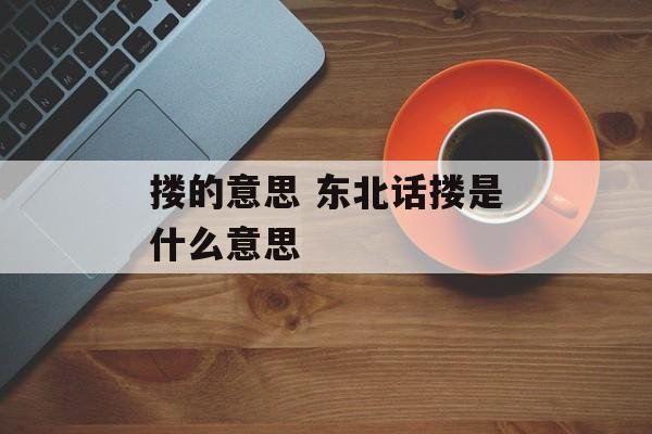 搂的意思 东北话搂是什么意思-第1张图片-