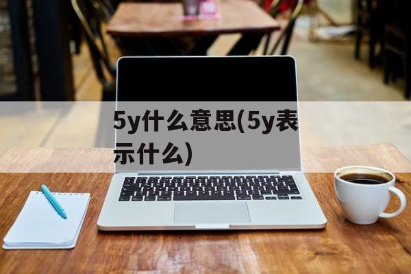 5y什么意思(5y表示什么)-第1张图片-