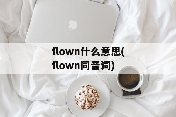 flown什么意思(flown同音词)-第1张图片-