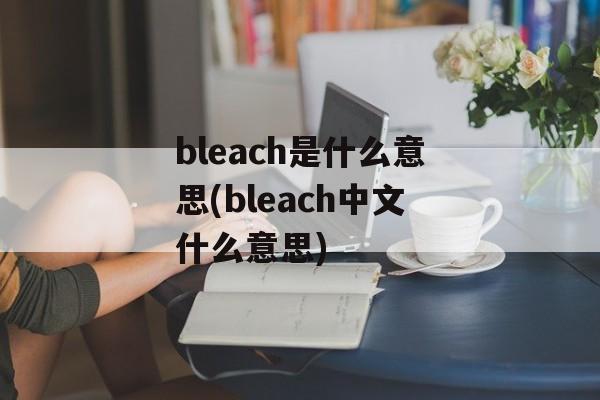 bleach是什么意思(bleach中文什么意思)-第1张图片-
