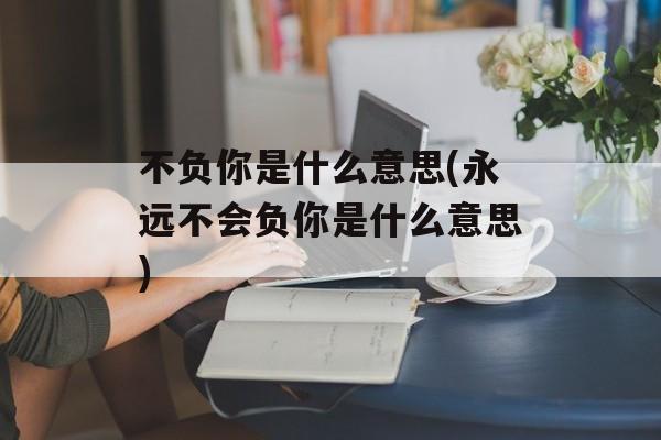不负你是什么意思(永远不会负你是什么意思)-第1张图片-