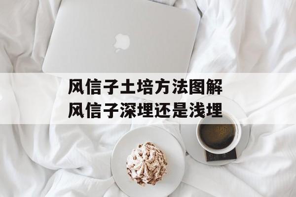 风信子土培方法图解 风信子深埋还是浅埋-第1张图片-