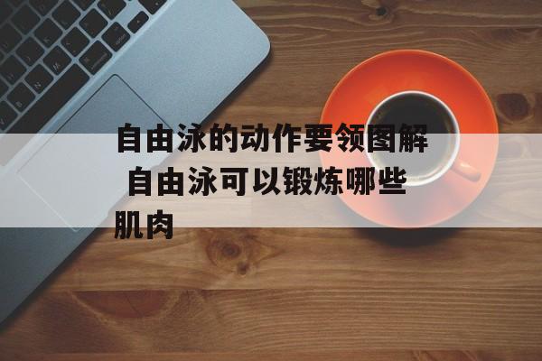 自由泳的动作要领图解 自由泳可以锻炼哪些肌肉-第1张图片-