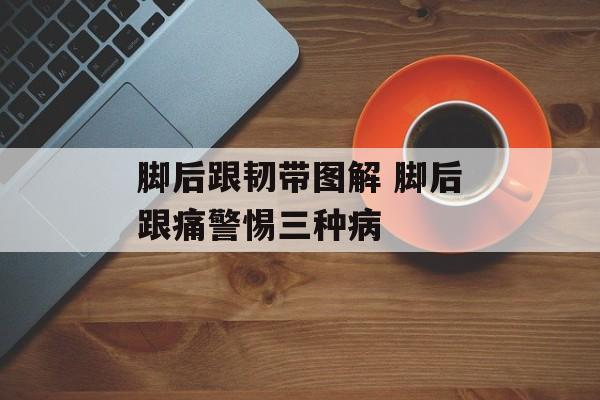 脚后跟韧带图解 脚后跟痛警惕三种病-第1张图片-