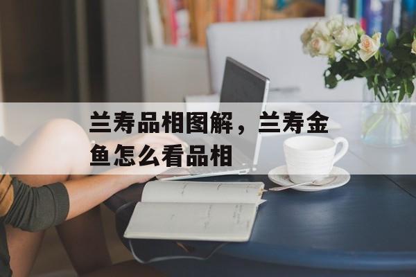 兰寿品相图解，兰寿金鱼怎么看品相-第1张图片-